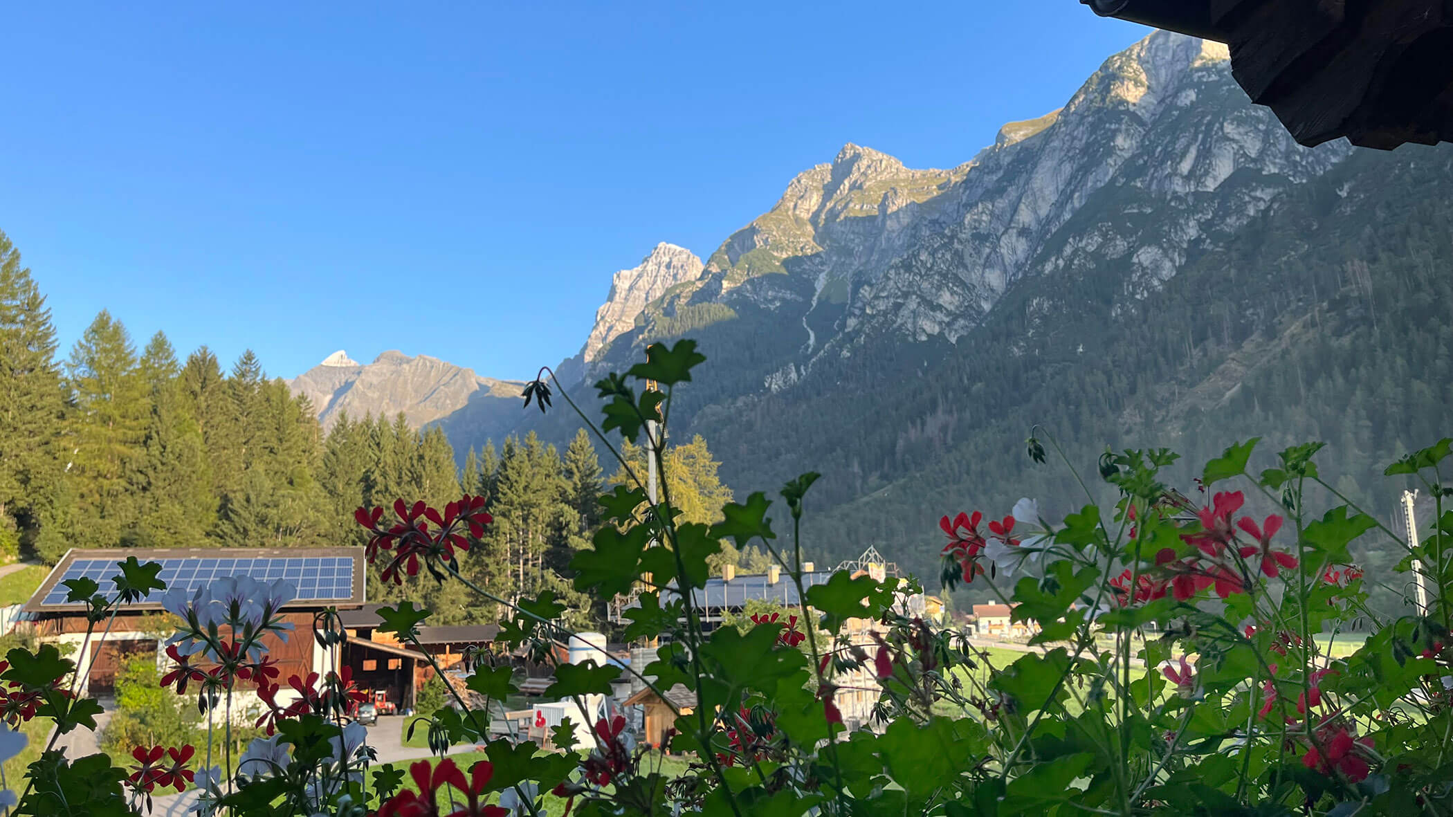 Geranien auf dem Balkon mit Blick auf einen strahlend blauen Himmel und die Berge von Pflersch - Knappenhof B&B
