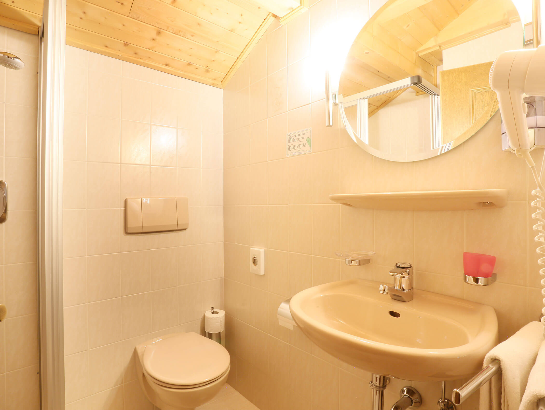 Bathroom with shower from the double room Alriss - Knappenhof B&B