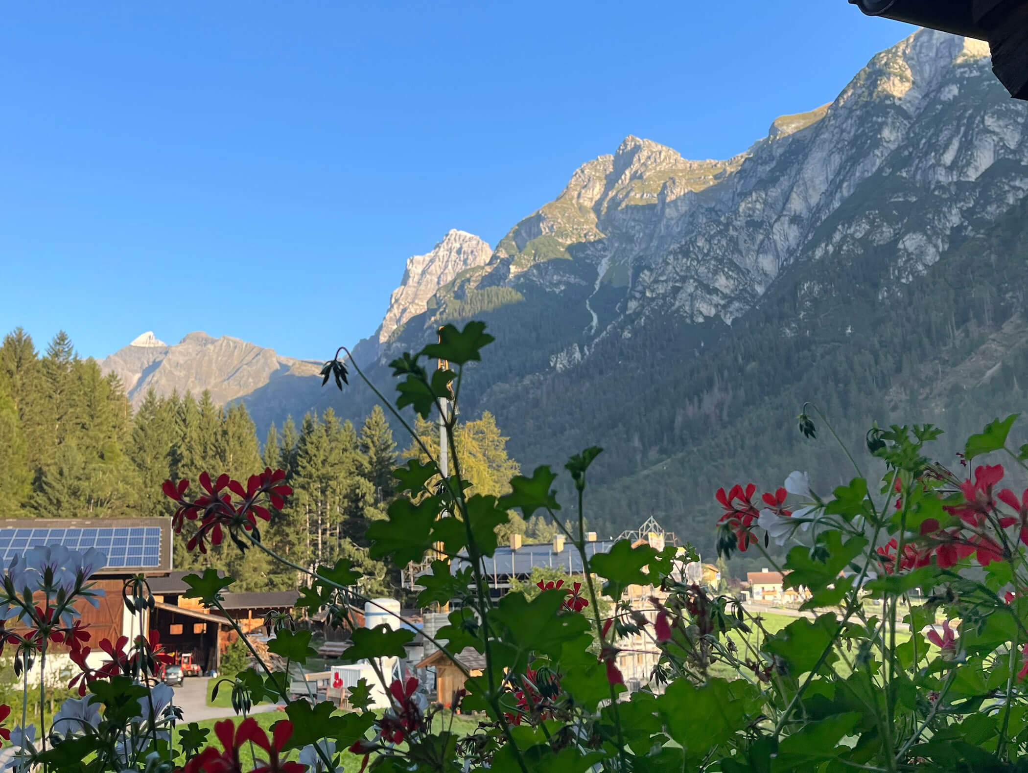 Geraniums on the balcony with a view of the blue sky and the Fleres mountains - Knappenhof B&B